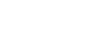 Brave group